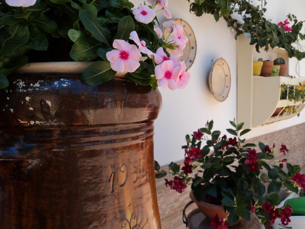 B&B Il Viandante Mesagne Buitenkant foto